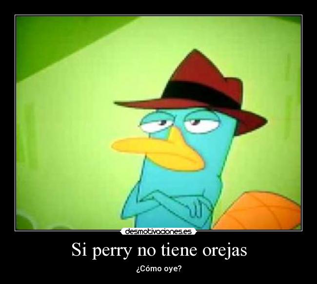 Si perry no tiene orejas - 