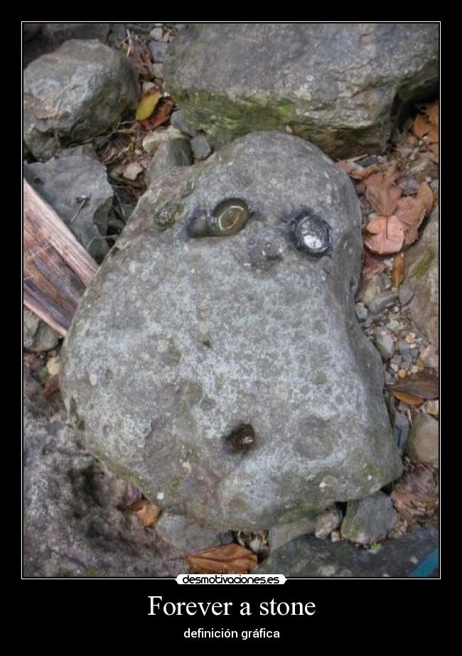 Forever a stone - definición gráfica