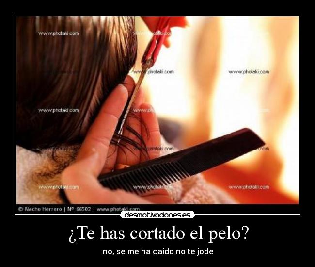 ¿Te has cortado el pelo? - no, se me ha caido no te jode