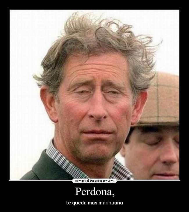 Perdona, - te queda mas marihuana