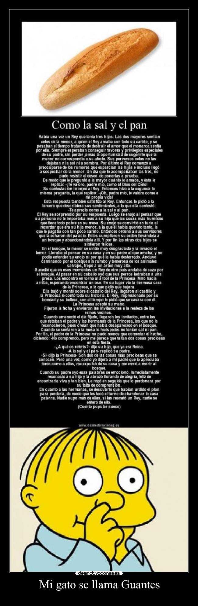 Mi gato se llama Guantes - 