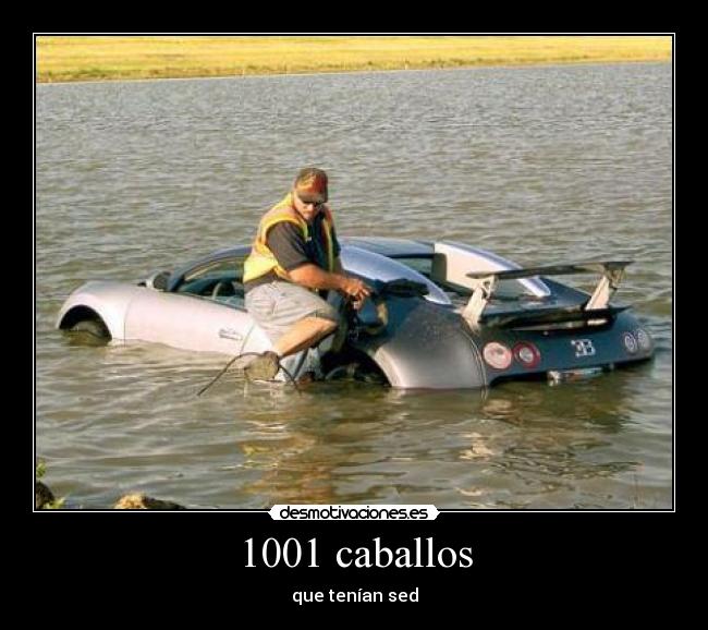 carteles 1001 caballos que tenian sed desmotivaciones