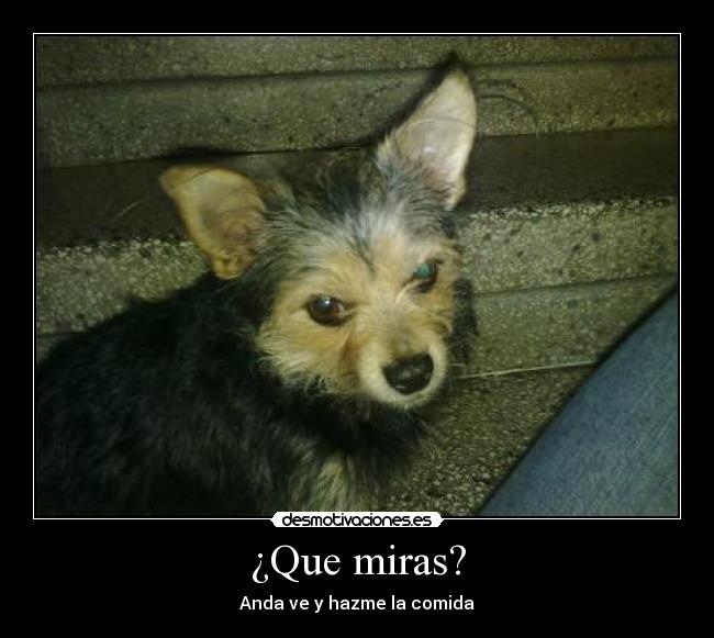 ¿Que miras? - Anda ve y hazme la comida