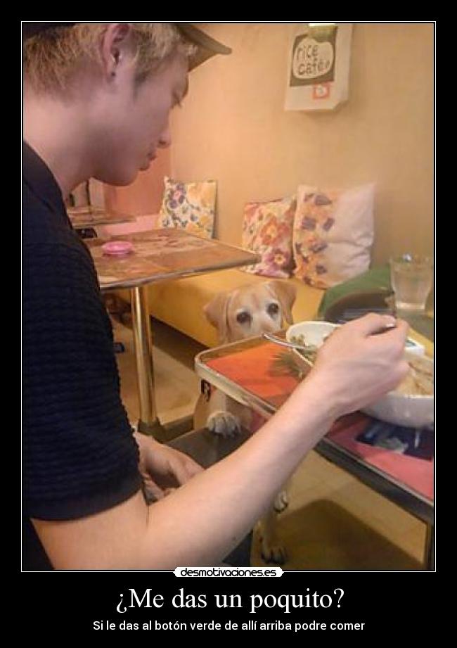 ¿Me das un poquito? - 