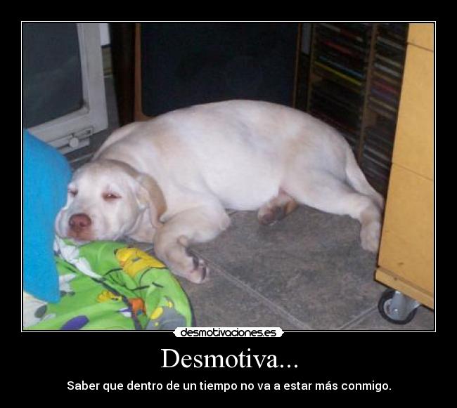 Desmotiva... -