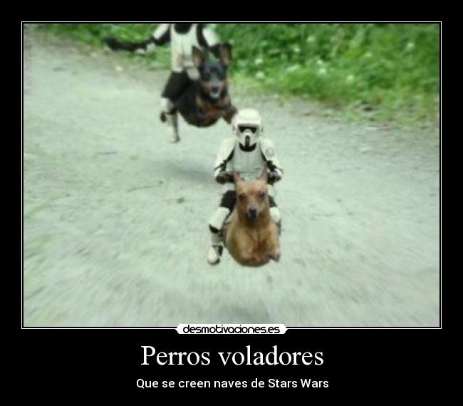 carteles stars wars perros voladores naves red bull desmotivaciones