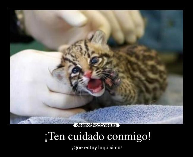 ¡Ten cuidado conmigo! -