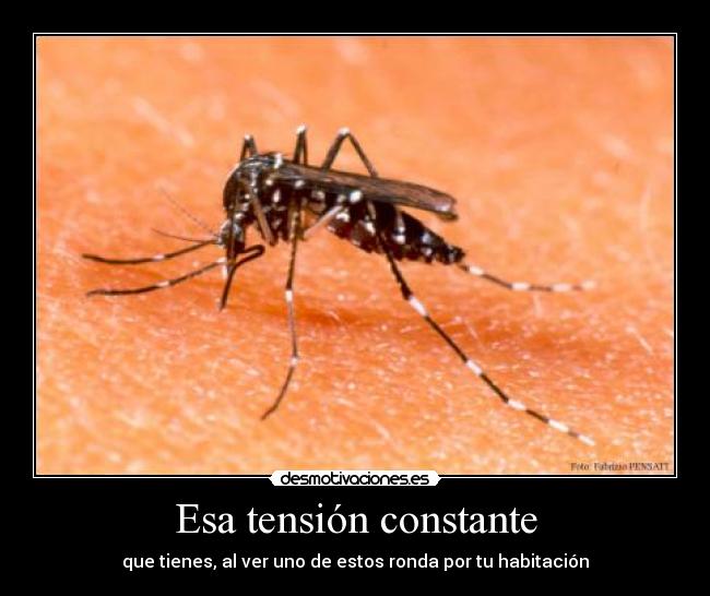 Esa tensión constante -