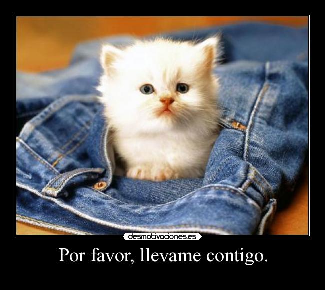 Por favor, llevame contigo. - 