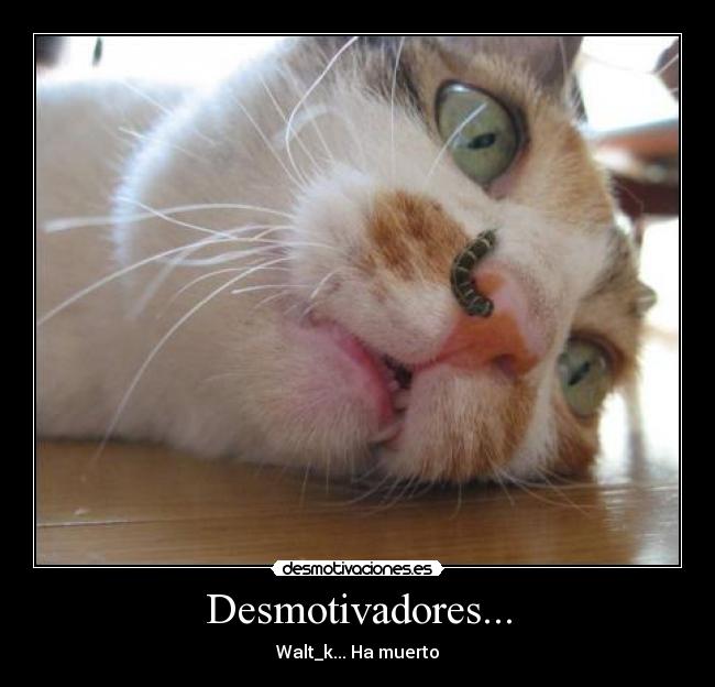 Desmotivadores... -
