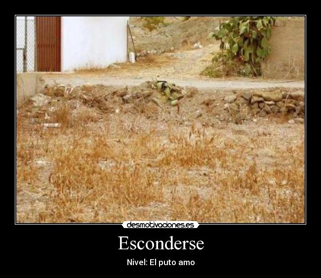 Esconderse -