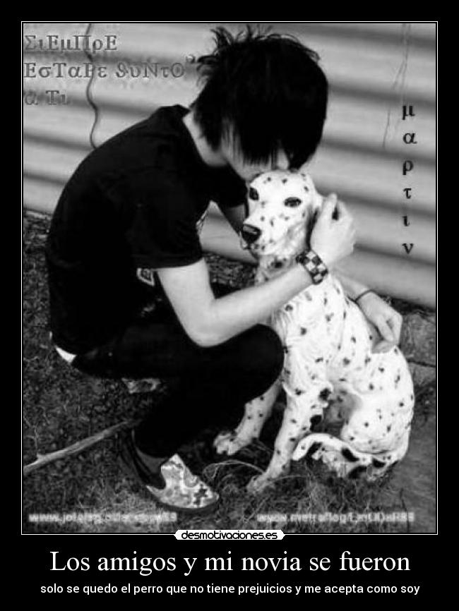 carteles amigos perro desmotivaciones