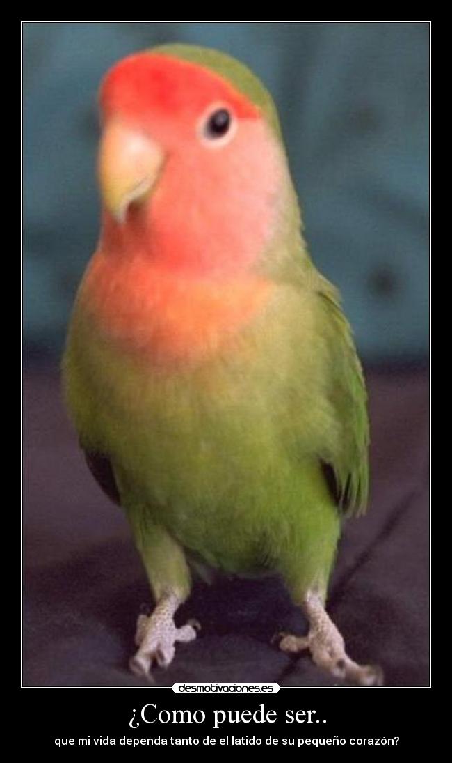 ¿Como puede ser.. - que mi vida dependa tanto de el latido de su pequeño corazón?