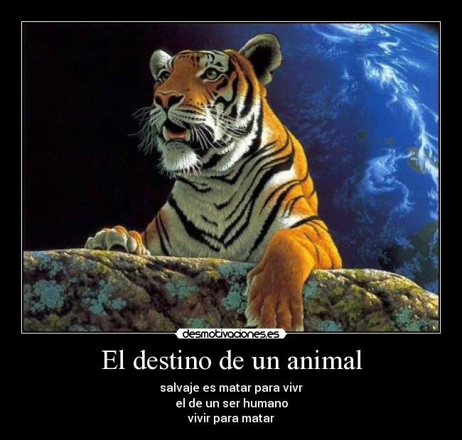 El destino de un animal -