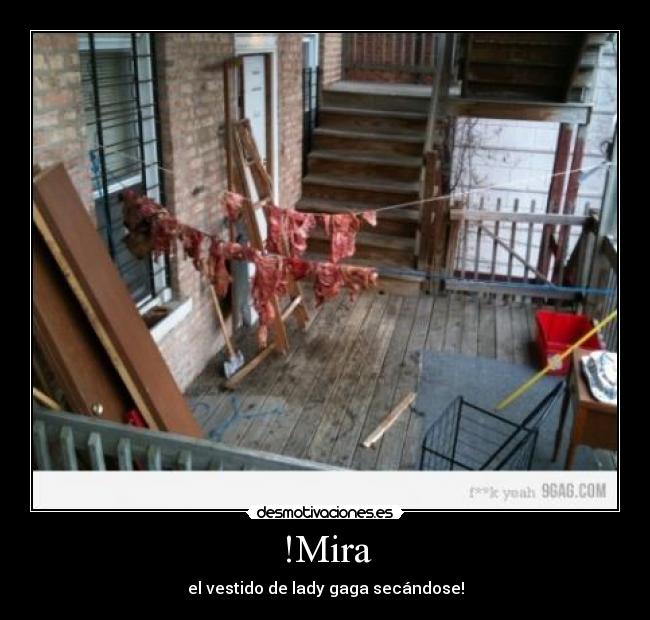 !Mira - el vestido de lady gaga secándose!