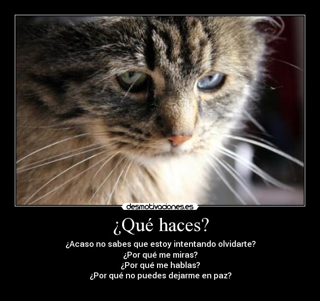 ¿Qué haces? - 