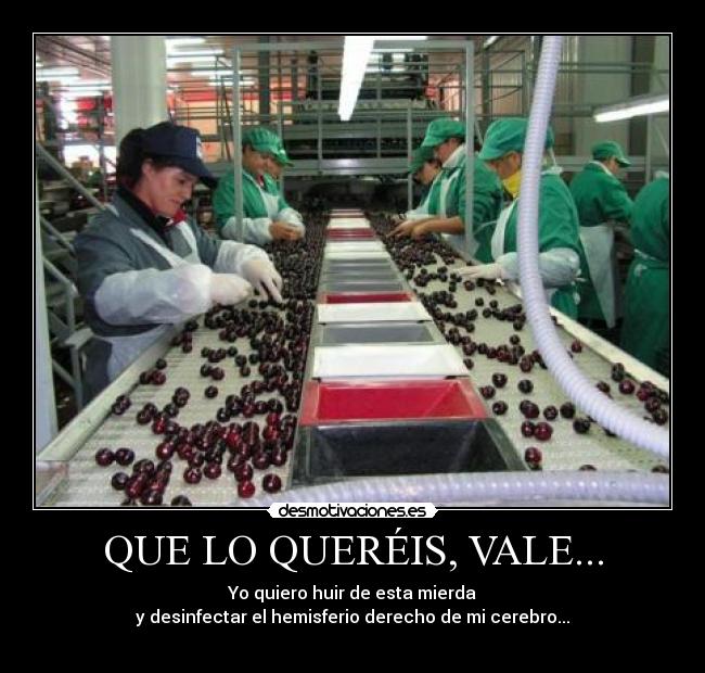 QUE LO QUERÉIS, VALE... - Yo quiero huir de esta mierda
y desinfectar el hemisferio derecho de mi cerebro...