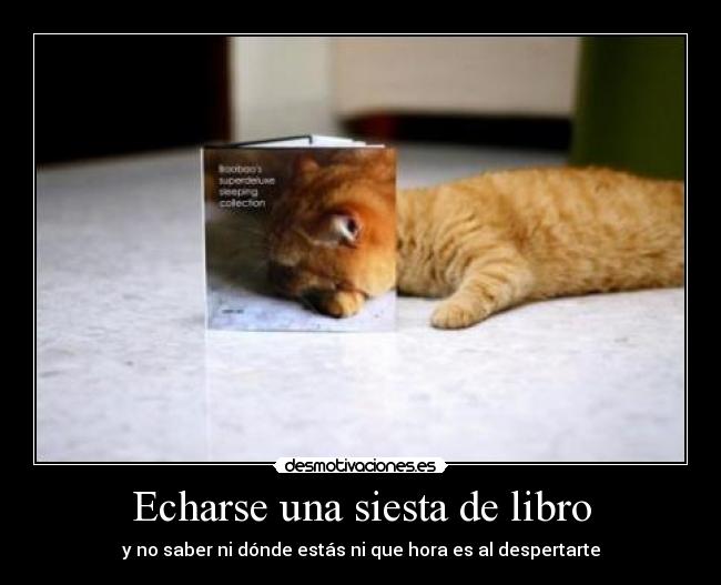 carteles walt_k desmotivaciones