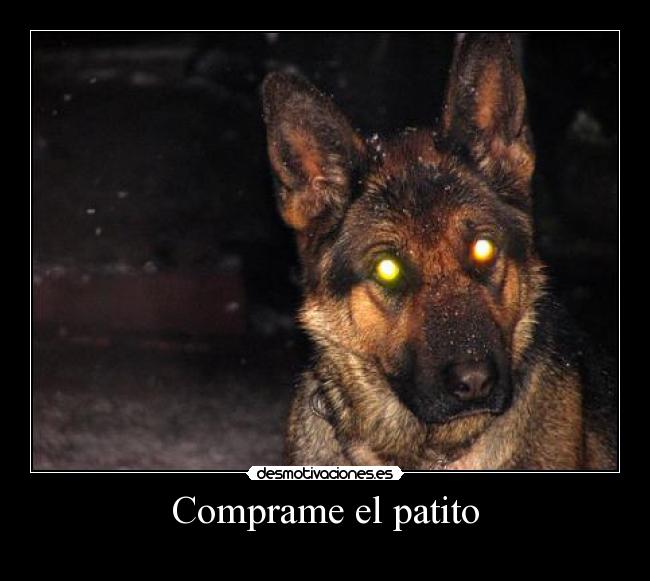 Comprame el patito -