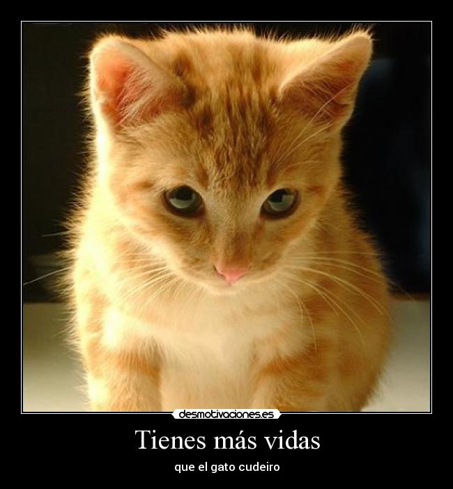 Tienes más vidas - 