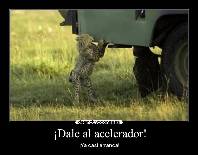¡Dale al acelerador! - ¡Ya casi arranca!