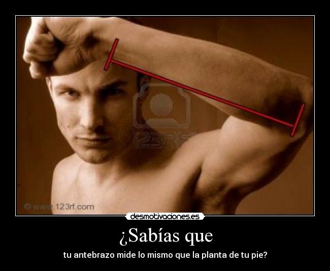 carteles elmejorcarteldelmundo desmotivaciones