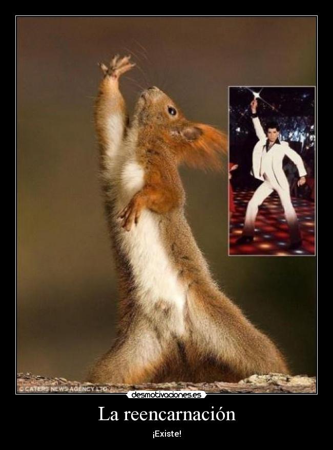 La reencarnación - ¡Existe!