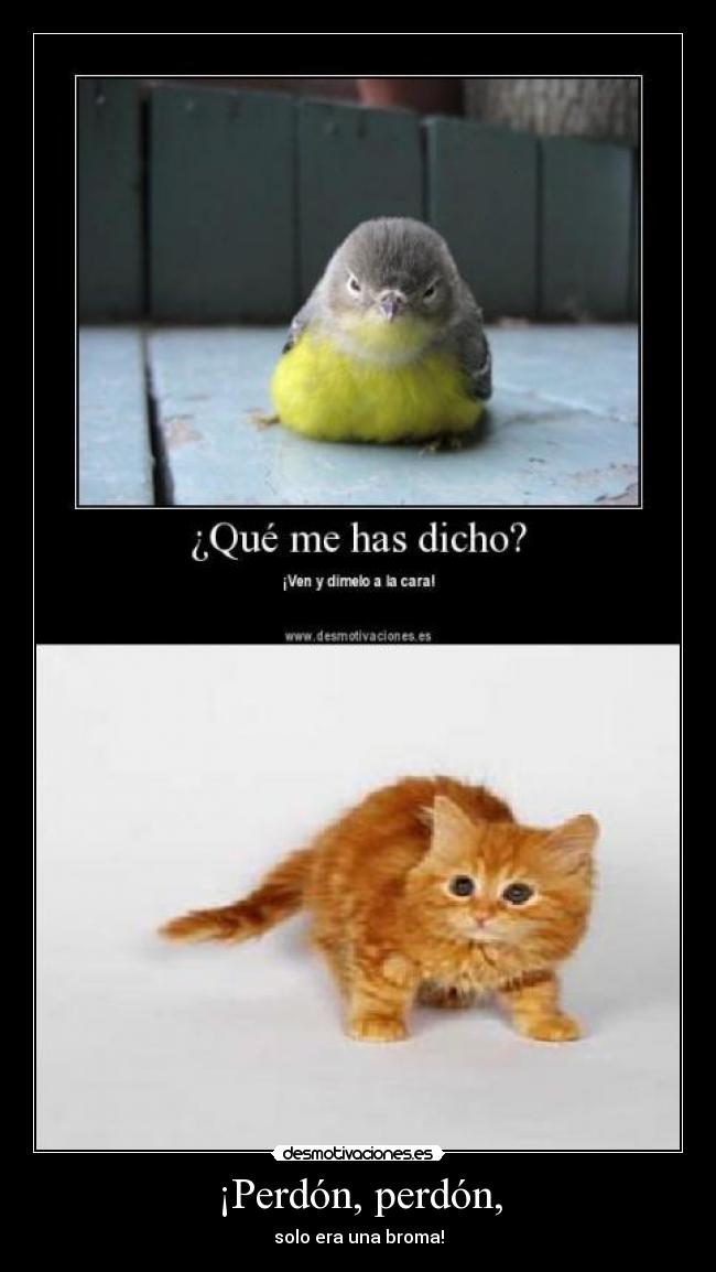 ¡Perdón, perdón, -