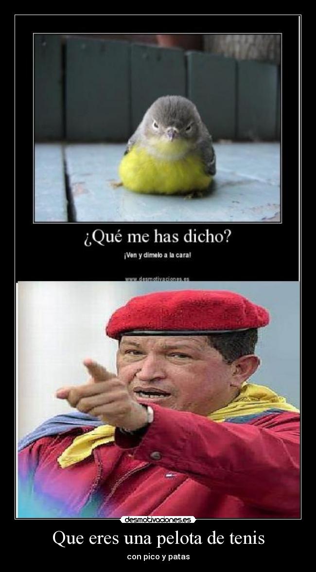 Que eres una pelota de tenis -