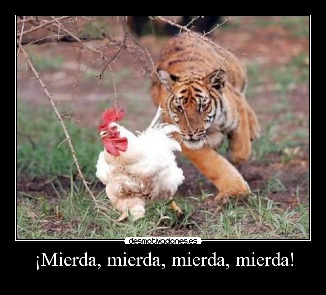 ¡Mierda, mierda, mierda, mierda! -