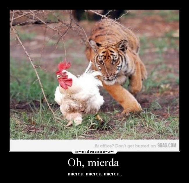 Oh, mierda  - mierda, mierda, mierda..