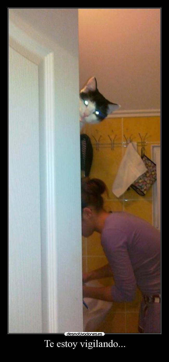 Te estoy vigilando... -