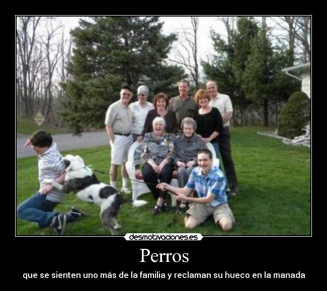 carteles walt_k desmotivaciones