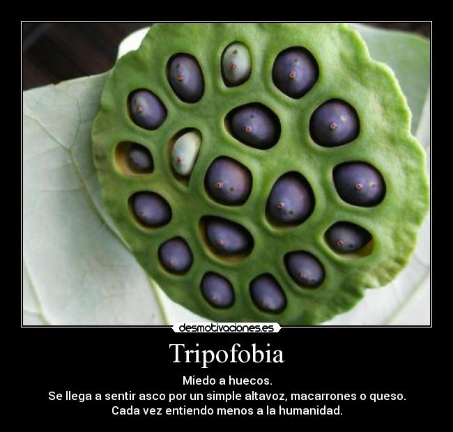 Tripofobia - 