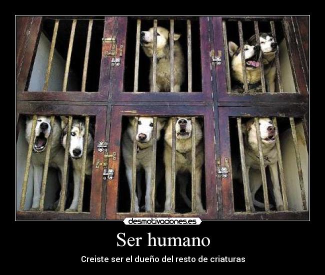 Ser humano -