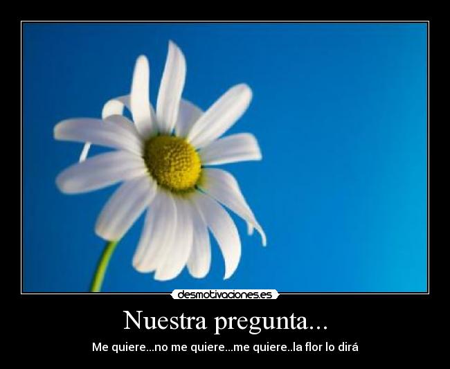 Nuestra pregunta... -