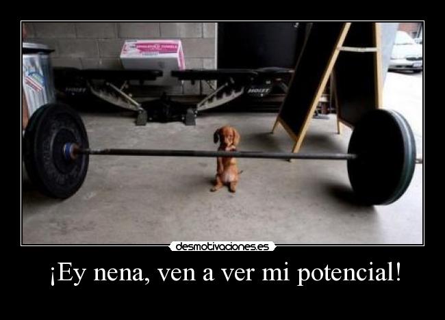 ¡Ey nena, ven a ver mi potencial! - 
