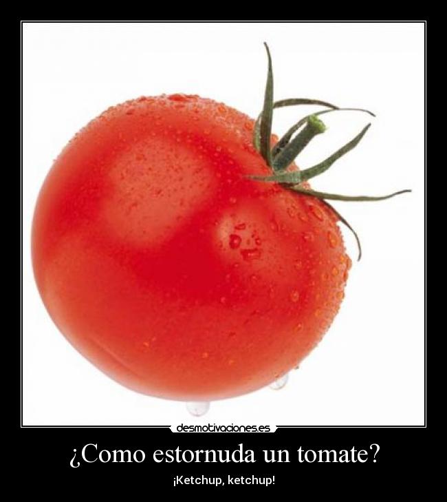 ¿Como estornuda un tomate? - 