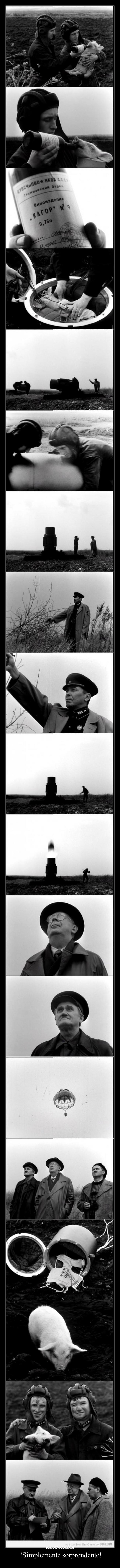 !Simplemente sorprendente! - 