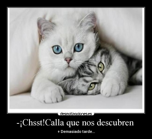 -¡Chsst!Calla que nos descubren - + Demasiado tarde...