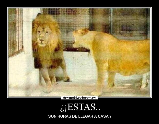 ¿¡ESTAS.. - 
