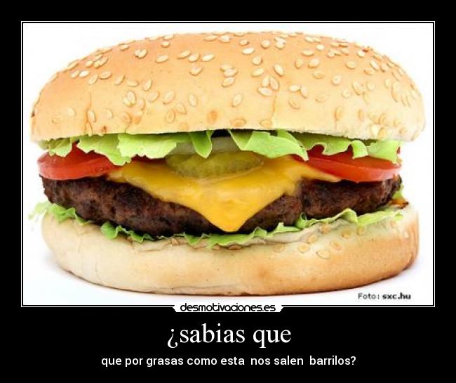 ¿sabias que - que por grasas como esta nos salen barrilos?