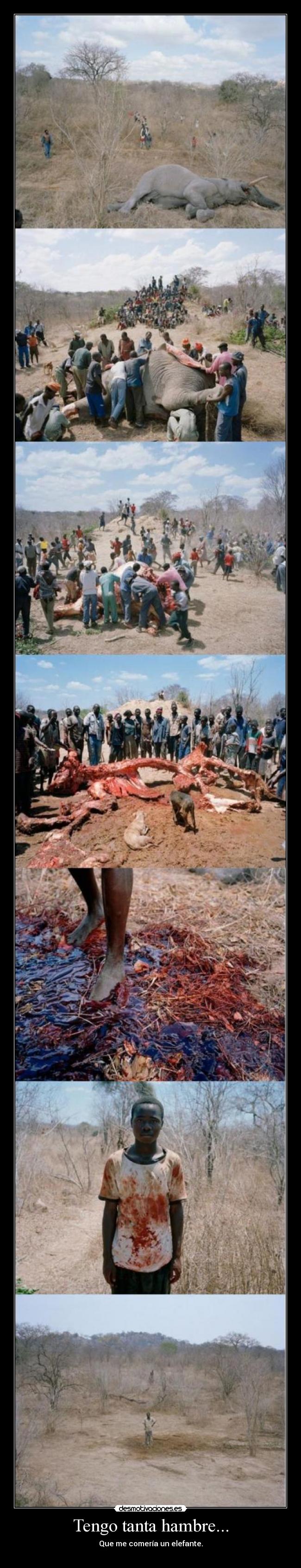 Tengo tanta hambre... - 