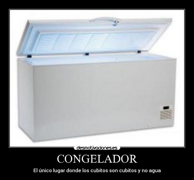 CONGELADOR -
