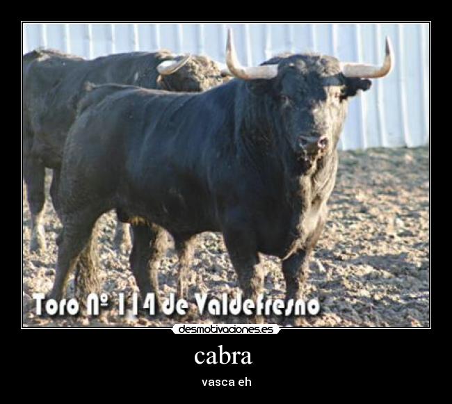 cabra -