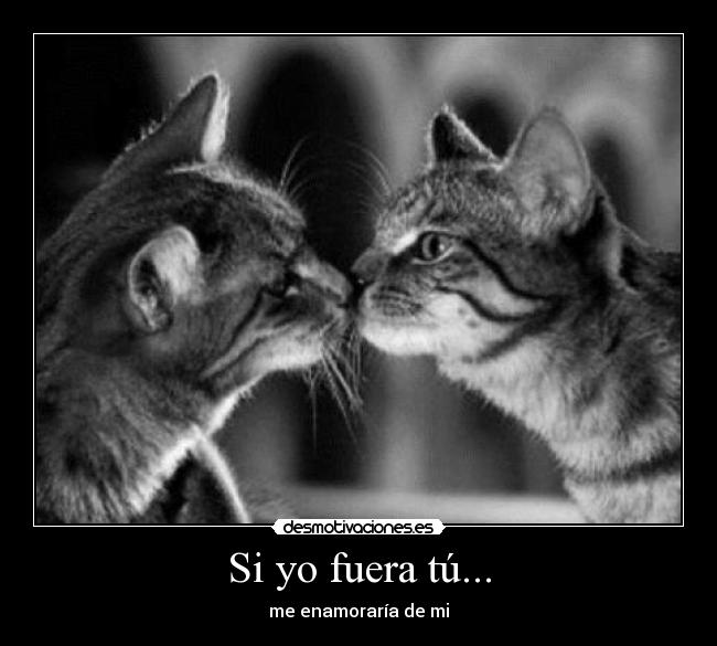 Si yo fuera tú... - me enamoraría de mi