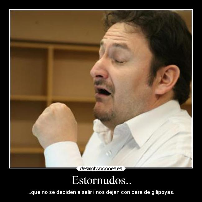 Estornudos.. - ..que no se deciden a salir i nos dejan con cara de gilipoyas.