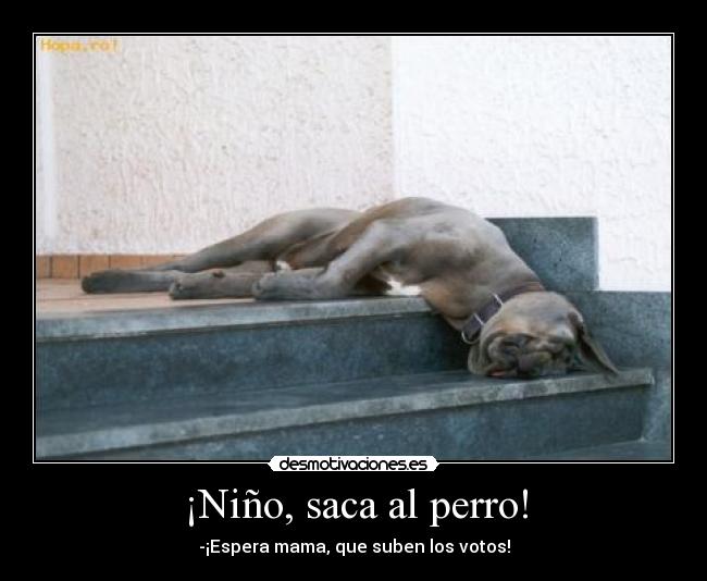 ¡Niño, saca al perro! -