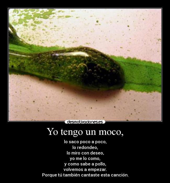 Yo tengo un moco, -