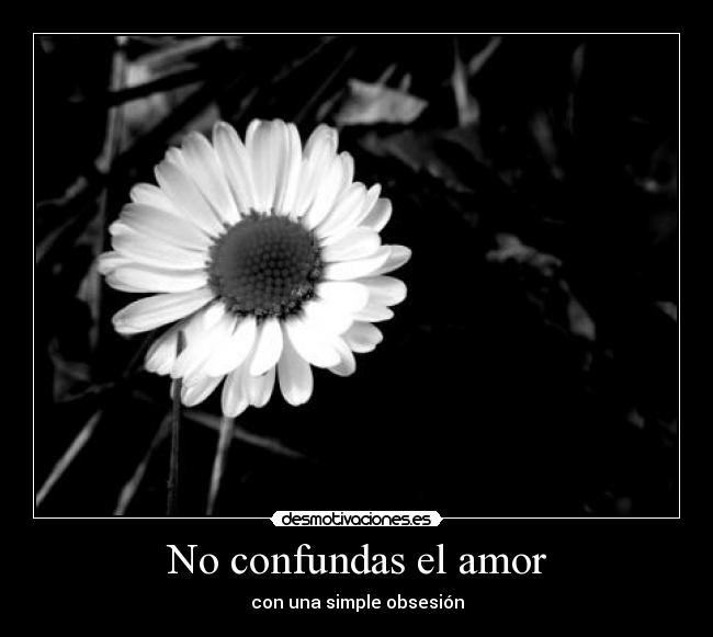 No confundas el amor - 